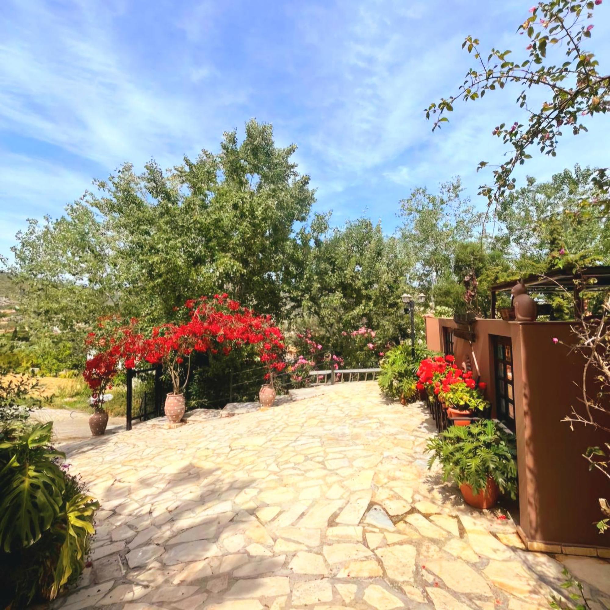 Okeanis Apartments & Suites Adults Only Kateleios Dış mekan fotoğraf