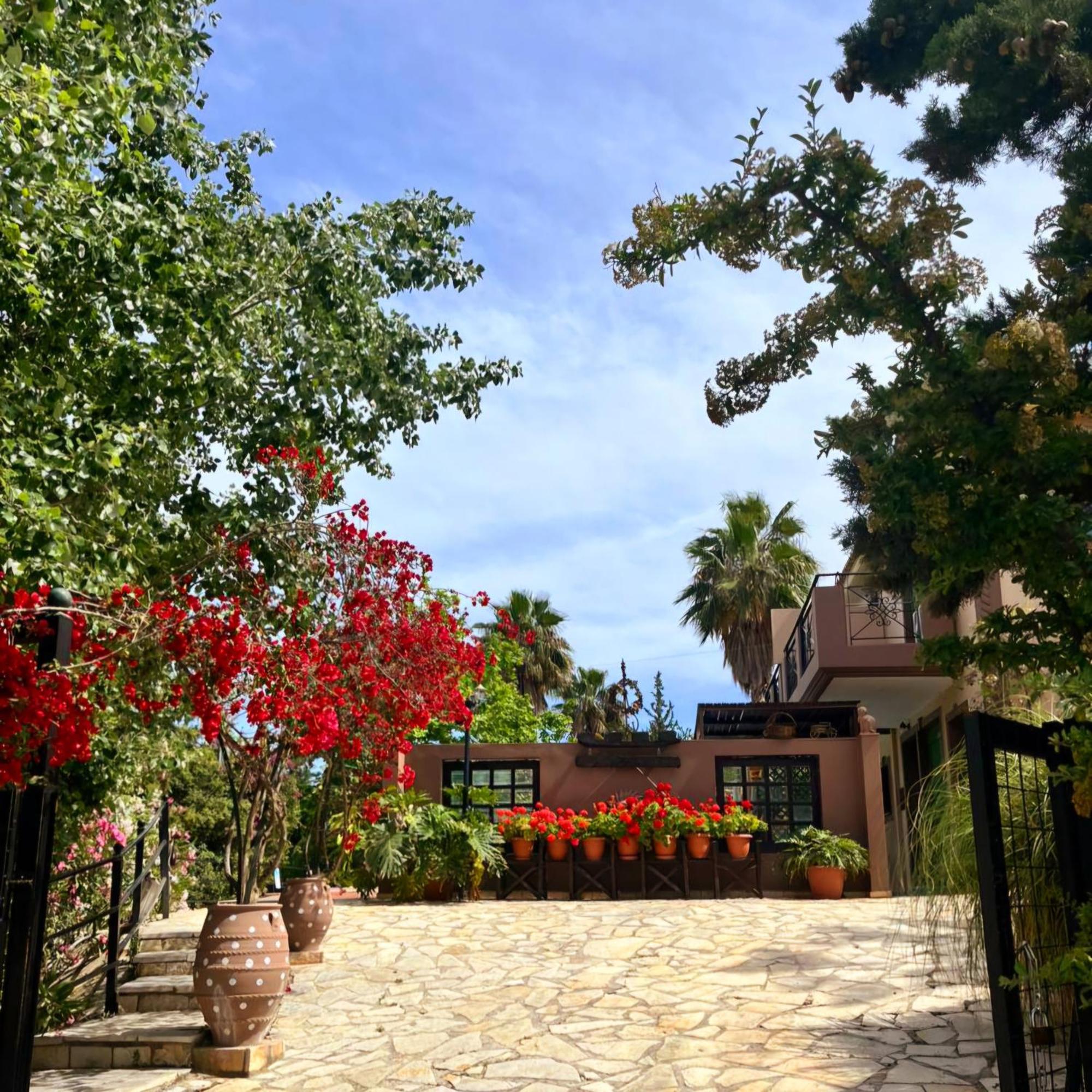 Okeanis Apartments & Suites Adults Only Kateleios Dış mekan fotoğraf